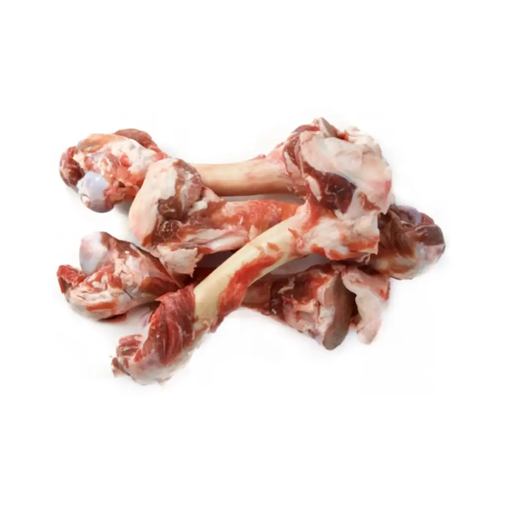 BONE MARROW